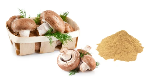 Seberapa Istimewa Ekstrak Jamur Shiitake Joywin?