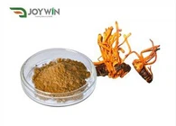 Cordyceps Militaris Ekstrak Cordycepin