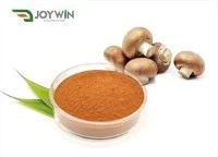 Ekstrak Shiitake Bubuk Lentinan 30