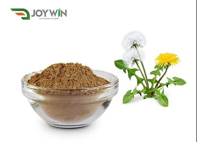 bubuk ekstrak dandelion