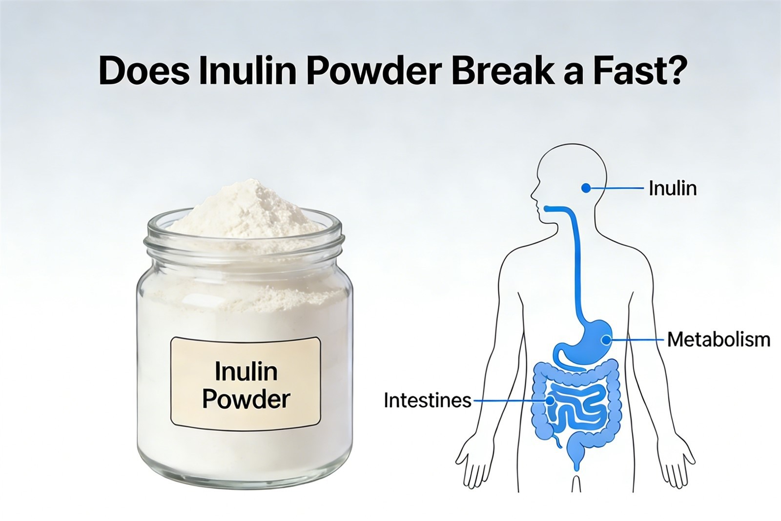 inulin powder